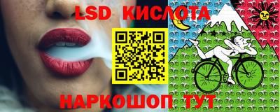 стафф Шахты