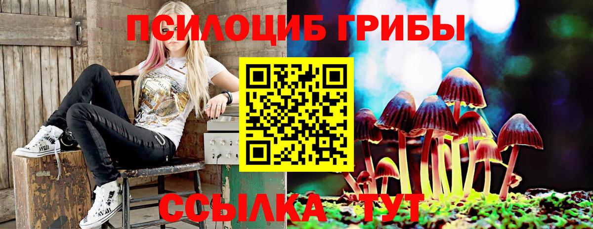 Асбест  Галлюциногенные грибы Psilocybine cubensis  Вход с VPN 